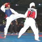 ASV Zadra-fighting/rothoblaas  - Taekwondo